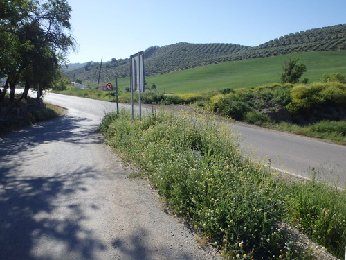 On the road to Montefrío.